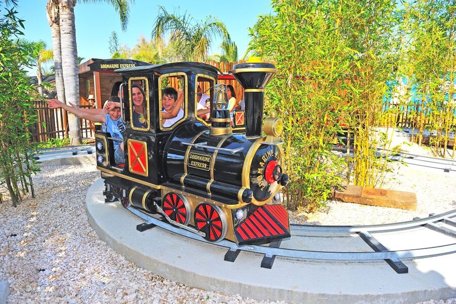 Algarve: Zoomarine Amusement Park Entry Ticket - Arriving at the Main Entrance: How to Start the Day Without Stress