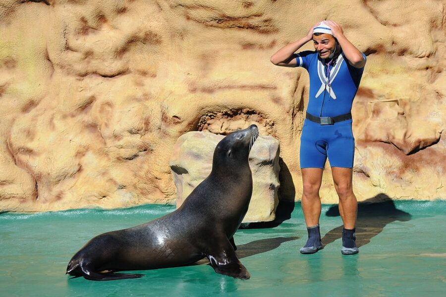 Algarve: Zoomarine Amusement Park Entry Ticket - A Realistic One-Day Game Plan for Shows, Aquarium, and Water Fun