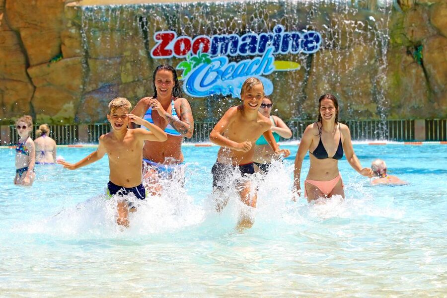 Algarve: Zoomarine Amusement Park Entry Ticket - Dolphin, Sea Lions, and Seals: The Animal Shows That Families Plan Around
