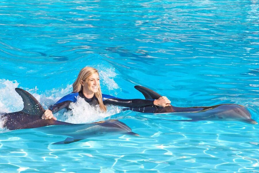 Algarve Zoomarine Ticket and Dolphin Emotions Experience - Key things to know before you go