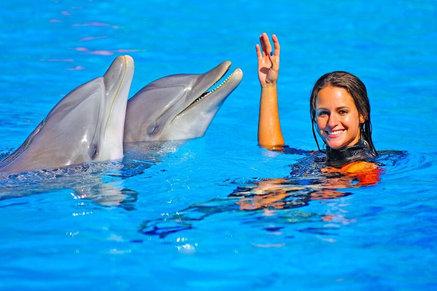 Algarve Zoomarine Ticket and Dolphin Emotions Experience - Who it fits, and who should skip