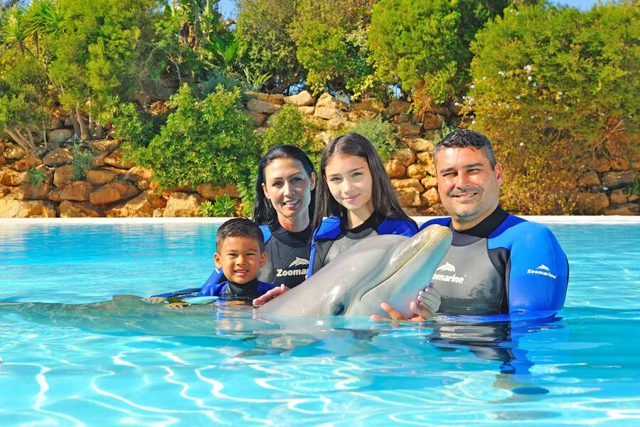 Algarve Zoomarine Ticket and Dolphin Emotions Experience - Algarve Zoomarine and the dolphin lagoon setting