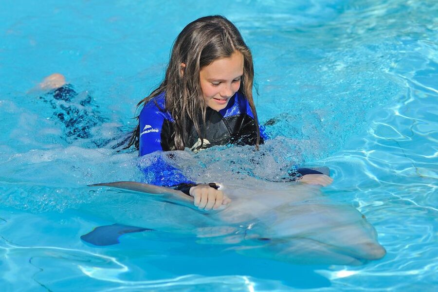 Algarve Zoomarine Ticket and Dolphin Emotions Experience - The dolphin education talk that sets the tone