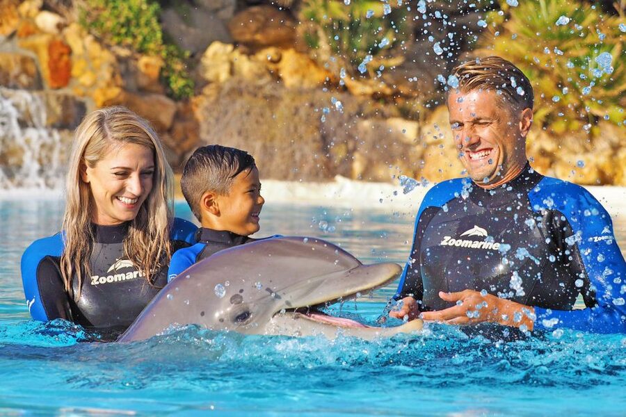 Algarve Zoomarine Ticket and Dolphin Emotions Experience - Encounter package: 15 minutes with bottlenose dolphins