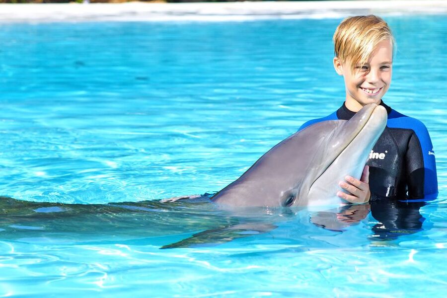 Algarve Zoomarine Ticket and Dolphin Emotions Experience - Exclusive package: private dolphin time plus recorded memories