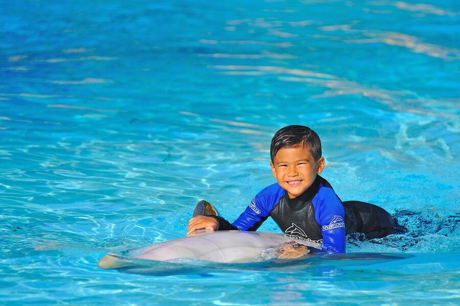 Algarve Zoomarine Ticket and Dolphin Emotions Experience - Photos, towels, and the extras that affect value