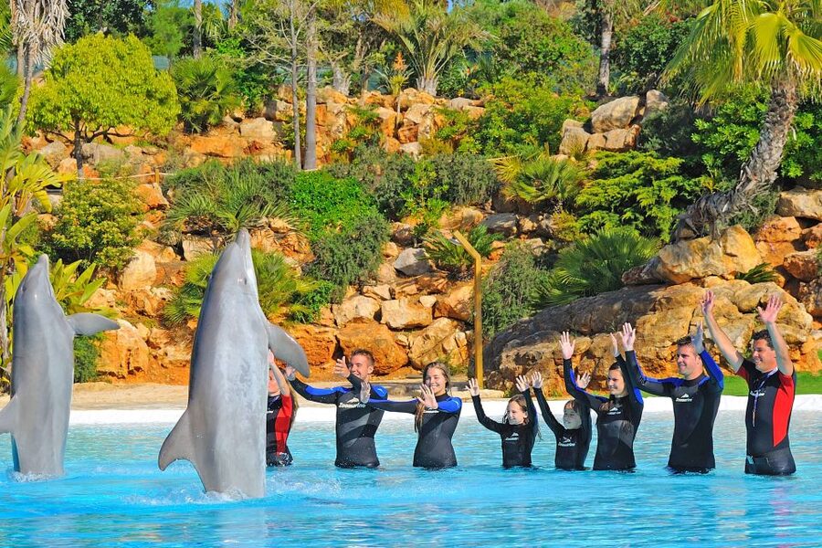 Algarve Zoomarine Ticket and Dolphin Emotions Experience - Price and value for $142, including the Zoomarine ticket