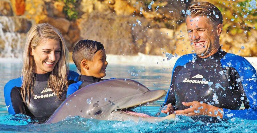Algarve Zoomarine Ticket and Dolphin Emotions Experience - Timing, check-in, and how to lock your session start