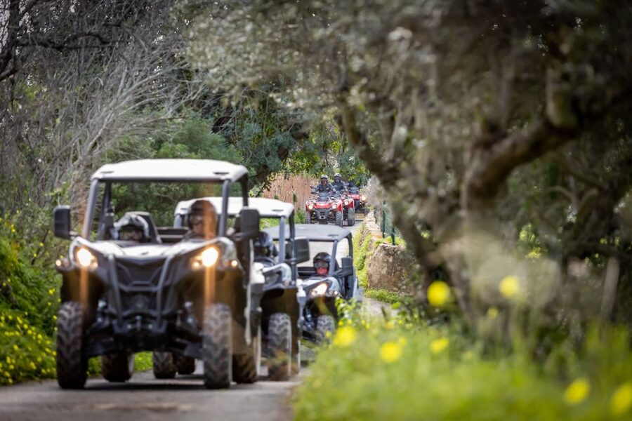 Almancil: Algarve Guided Off-Road Buggy Adventure - The countryside stops: almond groves, carob trees, and the Algibre riverside