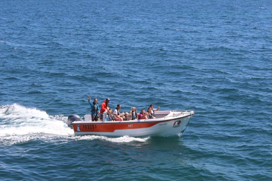 Armação de Pêra: Guided Boat Tour of Benagil's 15 Best Caves - Crew Dynamics: When Humor and Driving Skill Matter