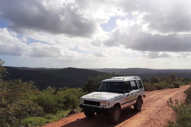 Barrocal Adventure - 4 hours - Regional Food Tasting: Fruits, Herbs, and Local Flavors
