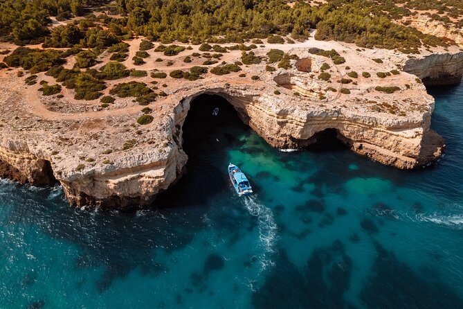 Benagil Caves and Dolphin Watching - 2.5h - Dolphin spotting around Albufeira: what you can control and what you cannot