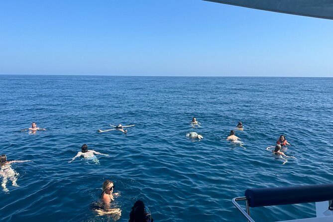Benagil Caves & Coast from Portimão on an Eco-Friendly Catamaran - Why a solar-powered catamaran feels calmer on the Algarve coast