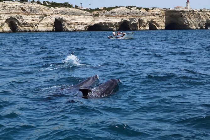Benagil Caves Tour from Portimao - Meeting at Portimão, Getting Sorted Before You Board