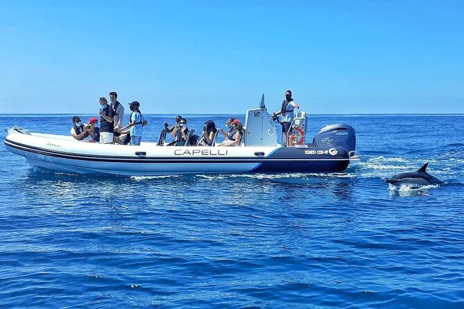 Benagil Caves Visit with Dolphins Watching from Albufeira - Why this Benagil plus dolphins tour feels like a smart use of your time