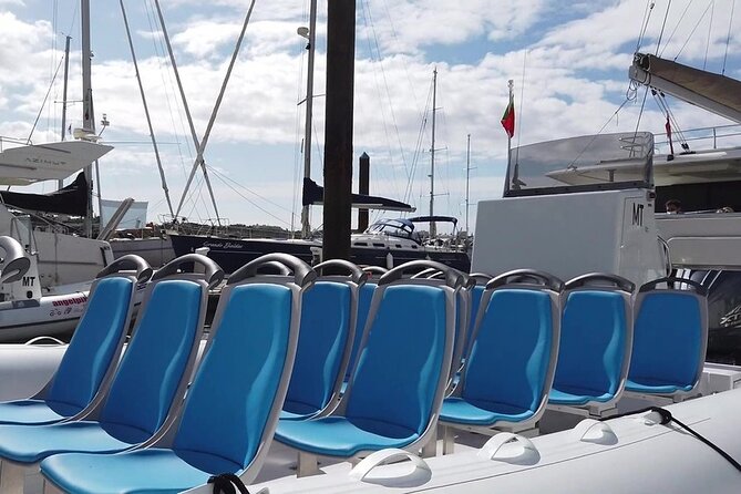 Benagil Caves Visit with Dolphins Watching from Albufeira - From Albufeira Marina: the westbound start and the coastal warm-up