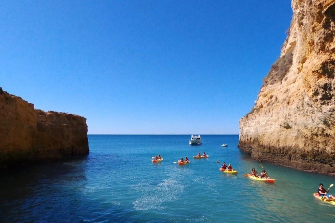 Benagil Kayak Tour On Board a Fantastic Catamaran - Swimming After the Paddle: The Best Way to Reset
