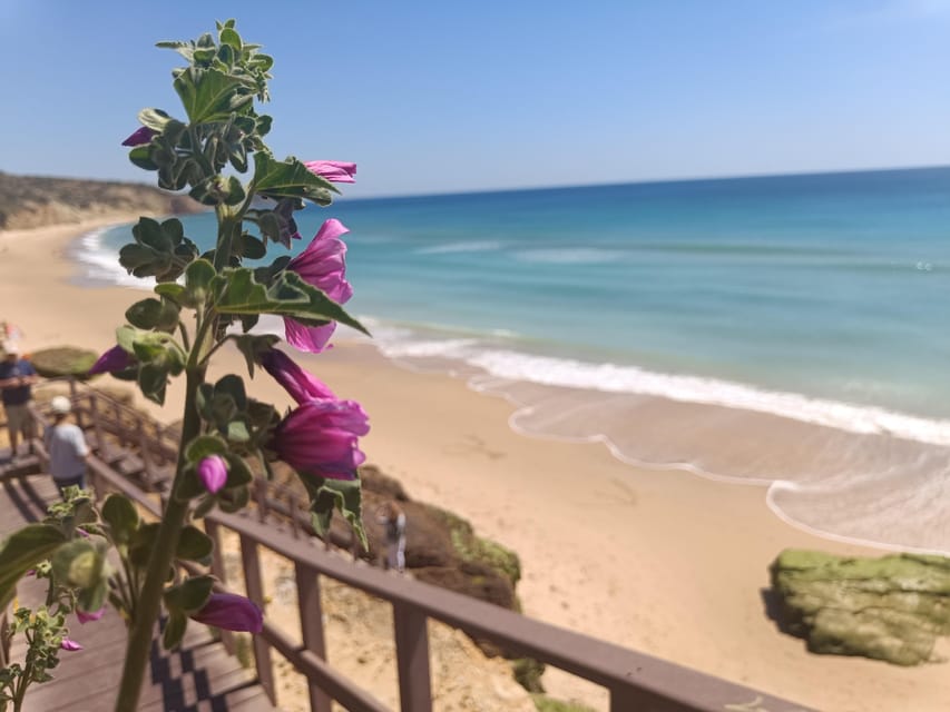 Best Coast Tour - Southwest of Europe - Who Should Book This Algarve Best Coast Tour?