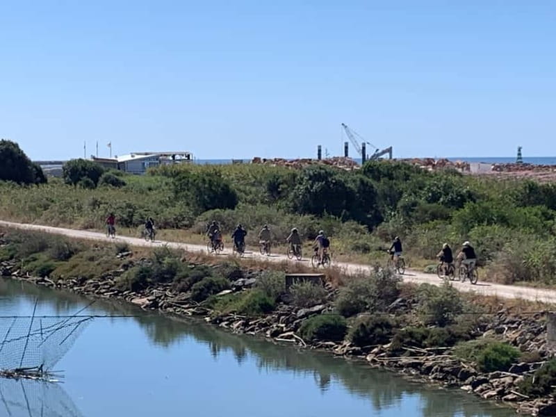 Best of Vilamoura - Guided Bike Tour (3h) - Turtle-area stop and beach scenery, why it matters beyond photos