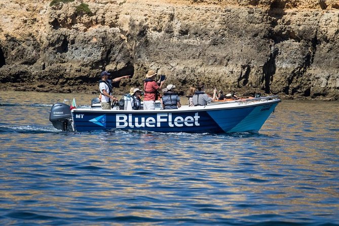 Boat Trip to Ponta da Piedade from Lagos - Live commentary: how the guide helps you “read” what you see