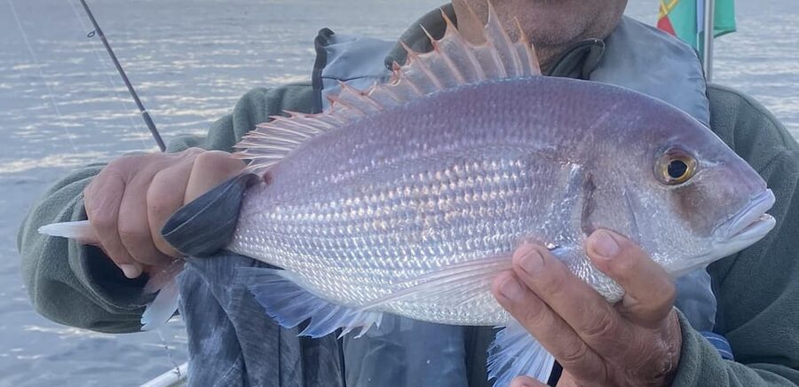 Bottom Fishing Lagos - Bottom Fishing Lagos in Plain Terms, and Why It Works