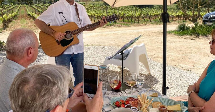 Carvoeiro/Portimão/Alvor: Wine Tour w/ Tasting, Tapas, Music - The vineyard tour that sets up the wines
