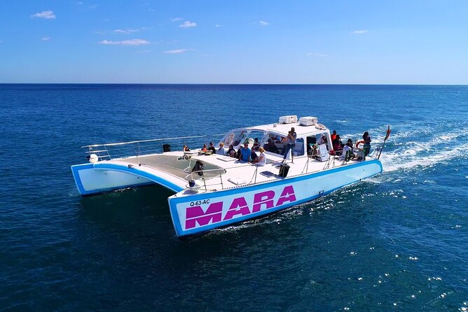 Catamaran Cruise: Caves and Coastline to Benagil - The Real Itinerary: Caves, Coastline Stops, and a Swim That Changes the Trip