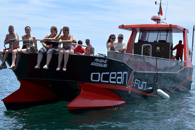 Catamaran Tour to Benagil Caves - Key highlights to know before you go