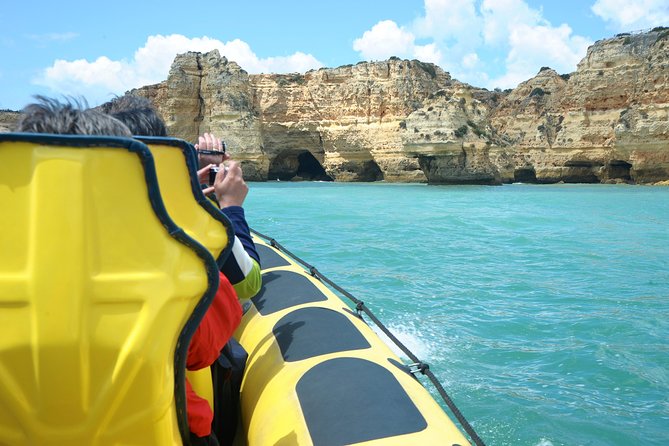 Caves and Dolphin Watching Cruise from Albufeira - Price, value, and what you are actually paying for