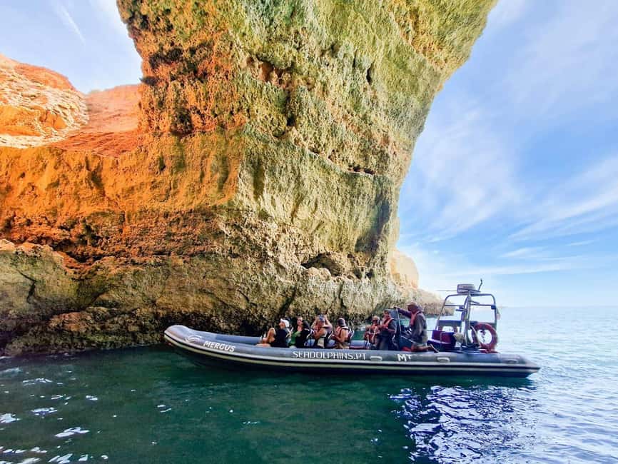 Caves & Dolphins - Combined Trip - Key Things I’d Plan Around