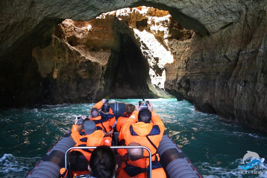 Caves & Dolphins - Combined Trip - Why the Small Group (Up to 15) Changes What You Get