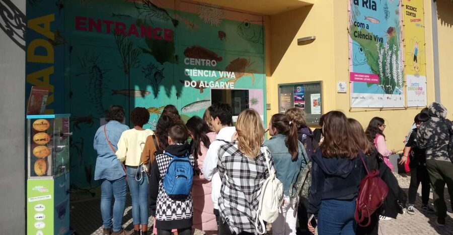CCVAlgarve Family Ticket | 2 adults + Children - Start Here: getting oriented fast, then letting kids lead