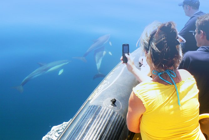 Cheapest Family Friendly Boat Trip From Vilamoura Algarve - Vilamoura to Gale Caves: what this short boat trip really gives you