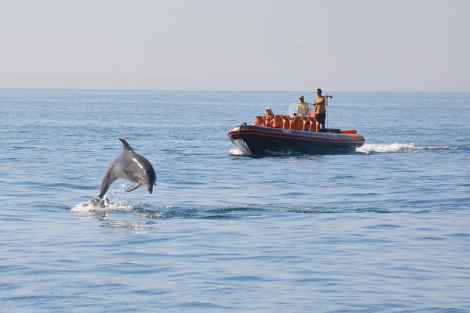 Cheapest Family Friendly Boat Trip From Vilamoura Algarve - Wind, speed, and age considerations for toddlers