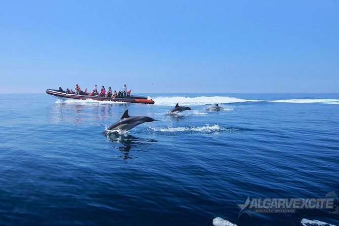 Cheapest Family Friendly Boat Trip From Vilamoura Algarve - How long you will be out, and why the timing matters