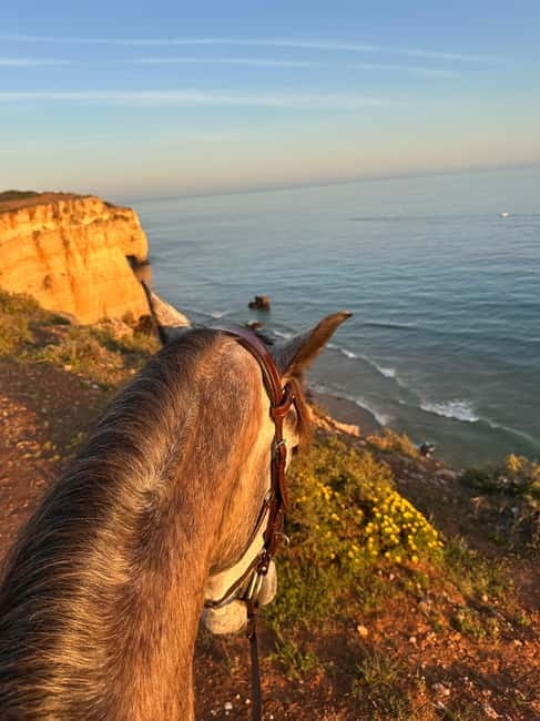 Cliffside Horseback Riding in the Algarve - Key Things You’ll Appreciate Most