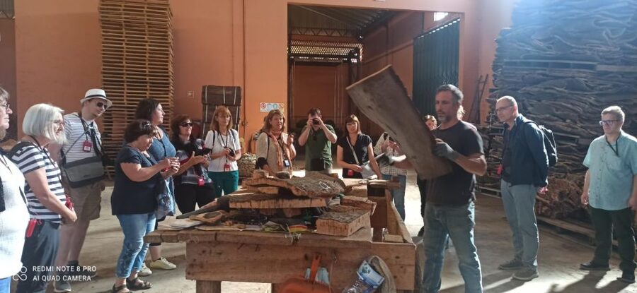Cork Factory Tour - Algarve’s Cork Factory Tour: Why This 50-Minute Visit Feels Worth It