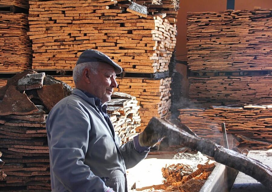 Cork Factory Tour - Inside a Traditional Cork Factory: What the Tour Time Actually Does