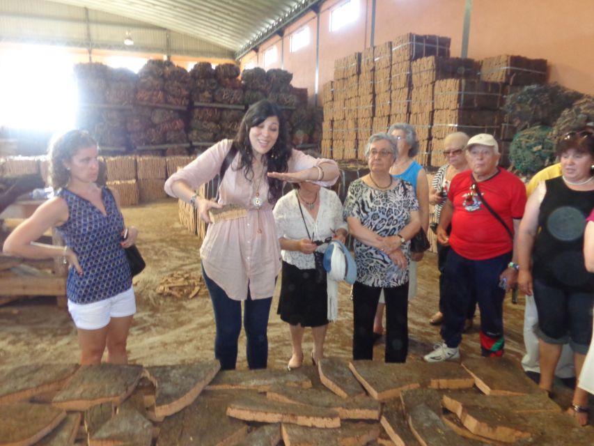 Cork Factory Tour - From Cork Harvesting to Preparation and Packing: The Core Learning Moments