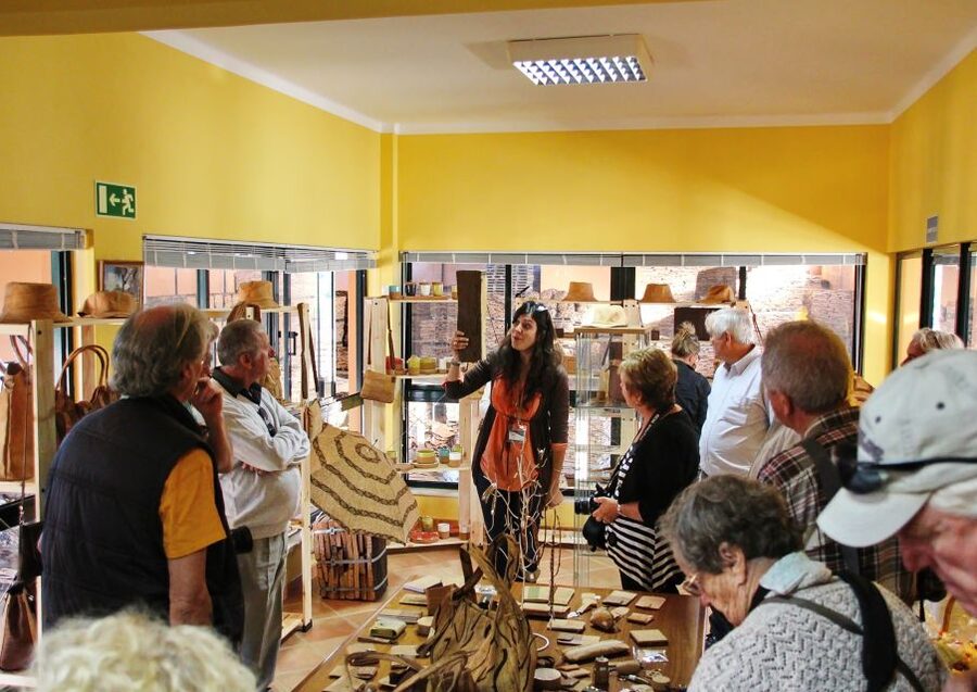 Cork Factory Tour - Potential Downsides, and How to Handle Them Like a Pro