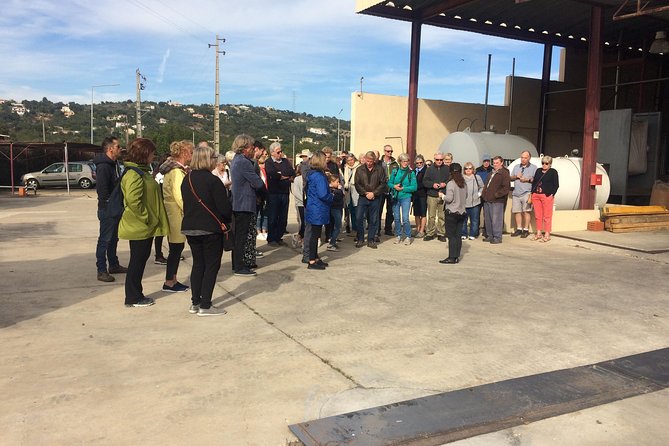 Cork Secrets - Cork Secrets: the Algarve in one day, built around cork