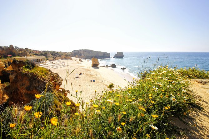 Discover Albufeira in a Tuk Tuk - Where You Start at Taberna Vicentina, and How It Keeps the Day Simple