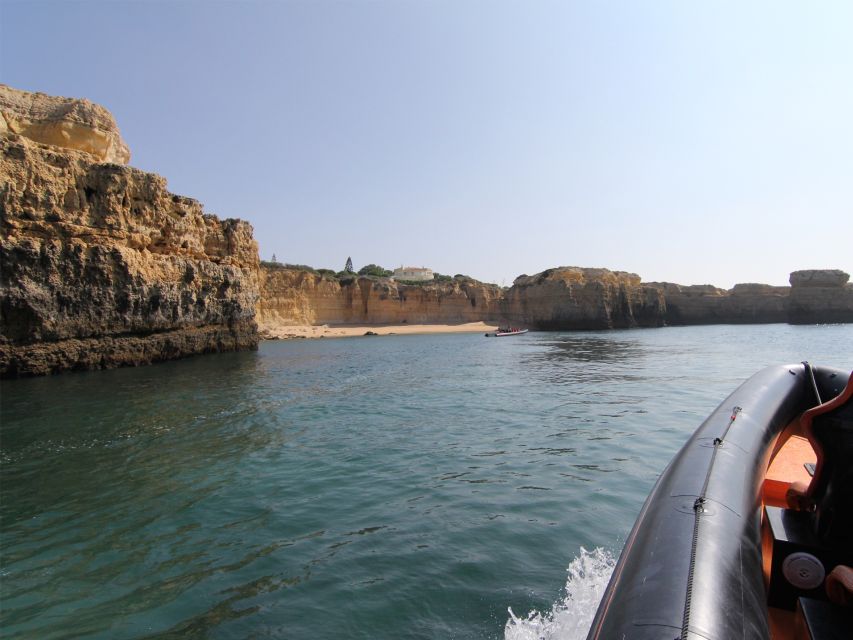 Dolphin Safari and Cave Tour in Vilamoura - Dolphin watching off the Algarve: bottlenose and common dolphins