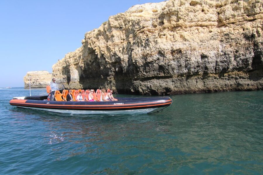 Dolphin Safari and Cave Tour in Vilamoura - Who this tour suits best, and who should think twice