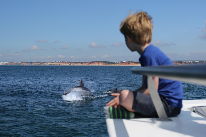 Dolphin Search - Dolphin Quest - Key things to know before you go