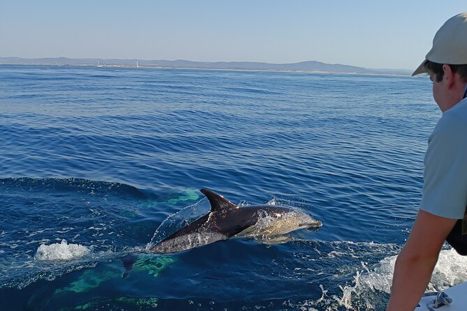 Dolphin Watching + 2 Islands Tour - From Faro - Key things I’d track before you go
