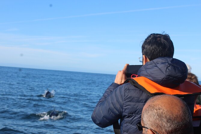 Dolphin Watching + 2 Islands Tour - From Faro - Ria Formosa channels to Cabo de Santa Maria: the calm start that sets expectations