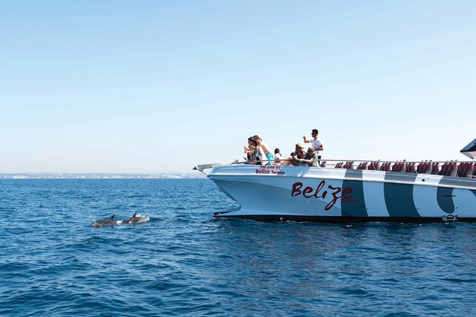 Dolphin Watching and Cave Boat Cruise from Albufeira - Key things to know before you book