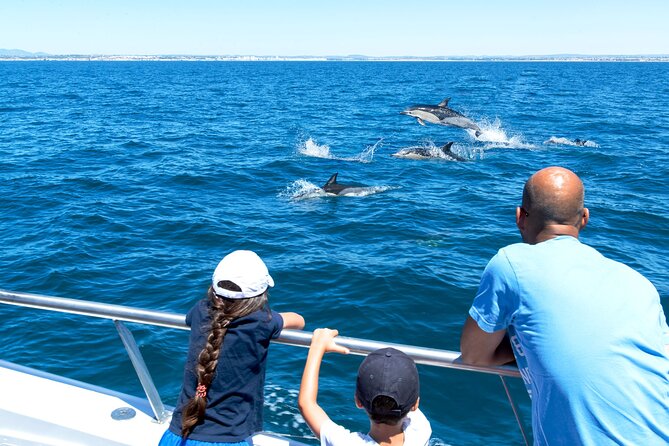 Dolphin Watching and Cave Boat Cruise from Albufeira - Why this Albufeira dolphin and cave cruise works so well