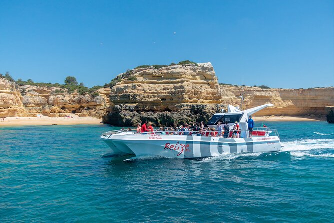 Dolphin Watching and Cave Boat Cruise from Albufeira - Price and value: what you’re really paying for